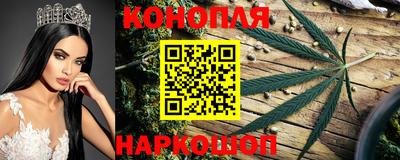 марки lsd Гусиноозёрск