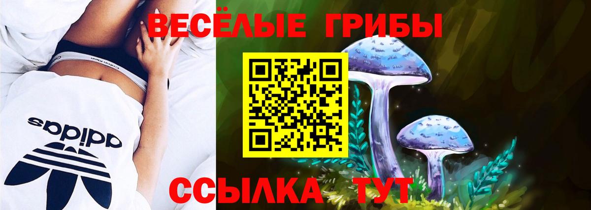 Ефремов  Галлюциногенные грибы Psilocybine cubensis  Вход с VPN 