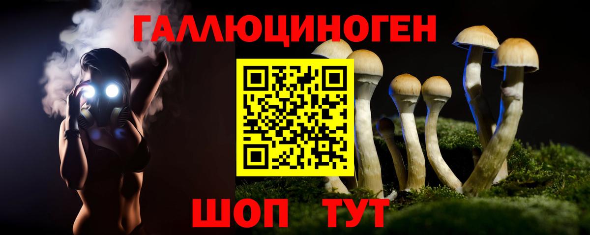 Галлюциногенные грибы Psilocybe Ефремов