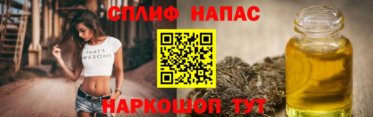 Бошки Шишки план Ефремов